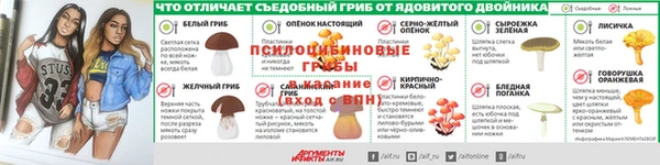 МДПВ Волосово