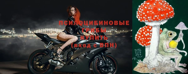 МДПВ Волосово