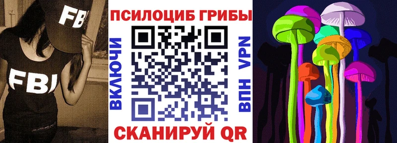 где можно купить наркотик  Каменск-Шахтинский  Галлюциногенные грибы мицелий 